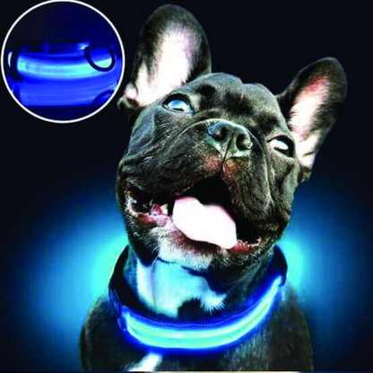 PARENCE - Light-Up Collar for Medium Dogs, 3 Lighting Modes/LED Collar for Pets with Attachment Loop and Clip Closure