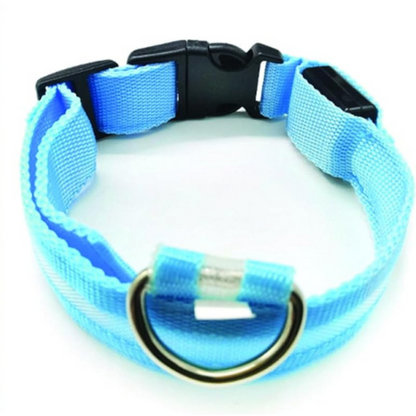 PARENCE - Light-Up Collar for Medium Dogs, 3 Lighting Modes/LED Collar for Pets with Attachment Loop and Clip Closure