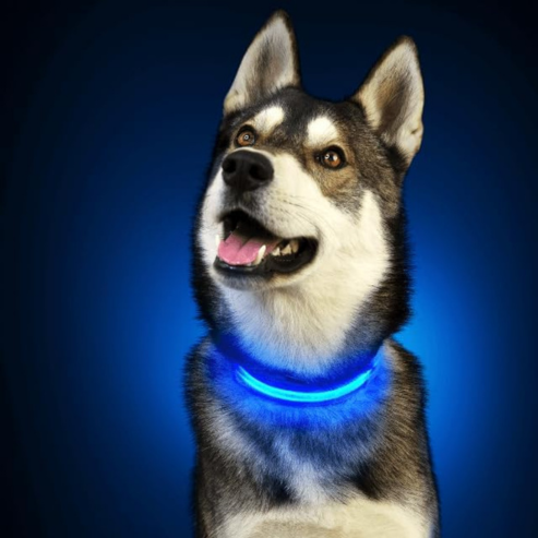 PARENCE - Light-Up Collar for Medium Dogs, 3 Lighting Modes/LED Collar for Pets with Attachment Loop and Clip Closure