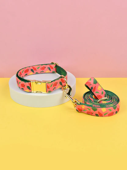 Valentine's Day and New Year's gift Luxury Brand Colorful Season Adjutable Dog Collar And Leash Set For Small Medium Large Dogs
