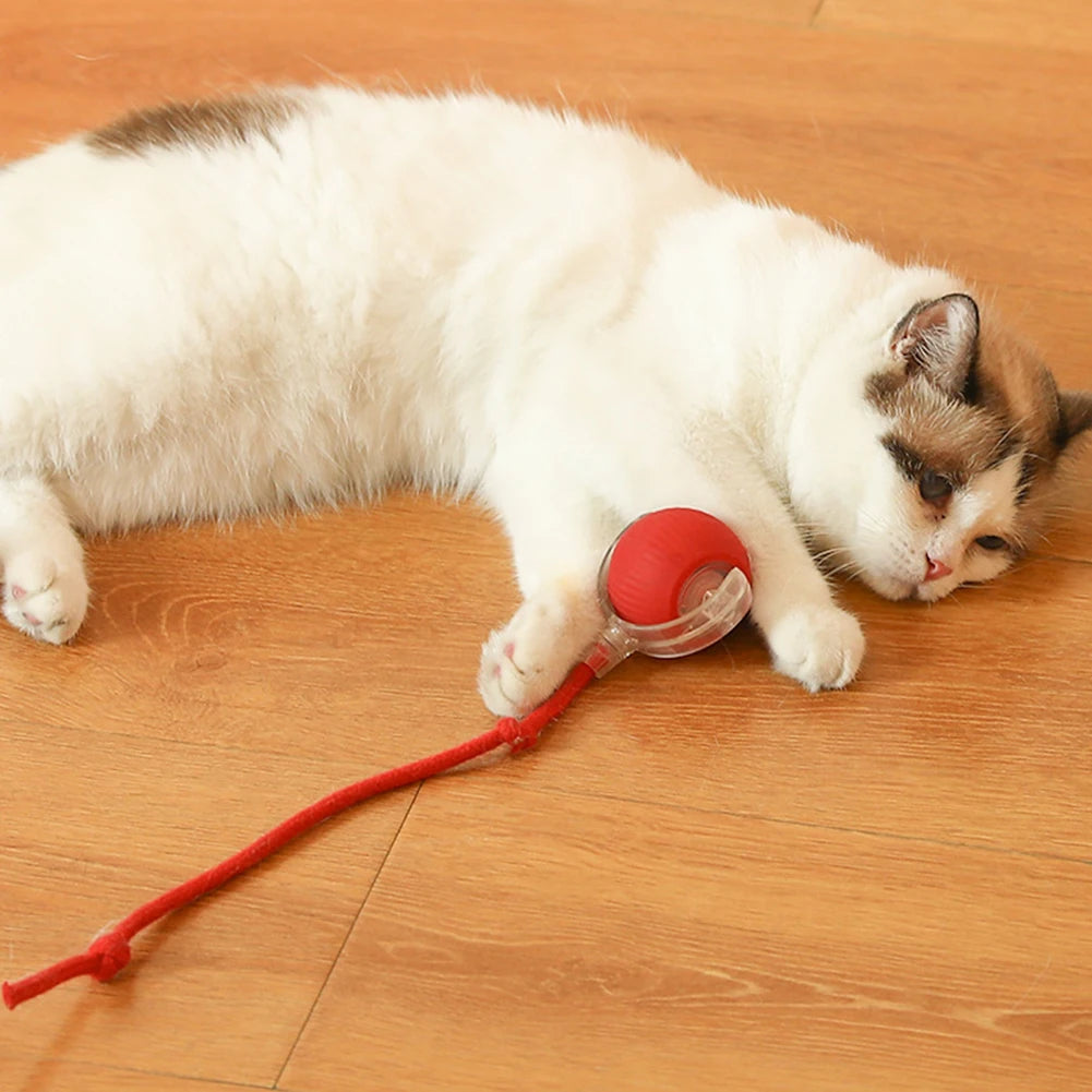2PC/1PC Cat Interactive Ball Toys Automatic Rolling Ball Rechargeable Self Rotating Ball Fast Rolling Ball for Indoor Cat Kitten