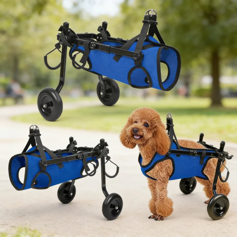 Dog Wheelchair Disabled Small Dog Rehabilitation Walking Aid Pushchair Power Assisted Vehicle Cat Mobility Scooter Pet Supplies