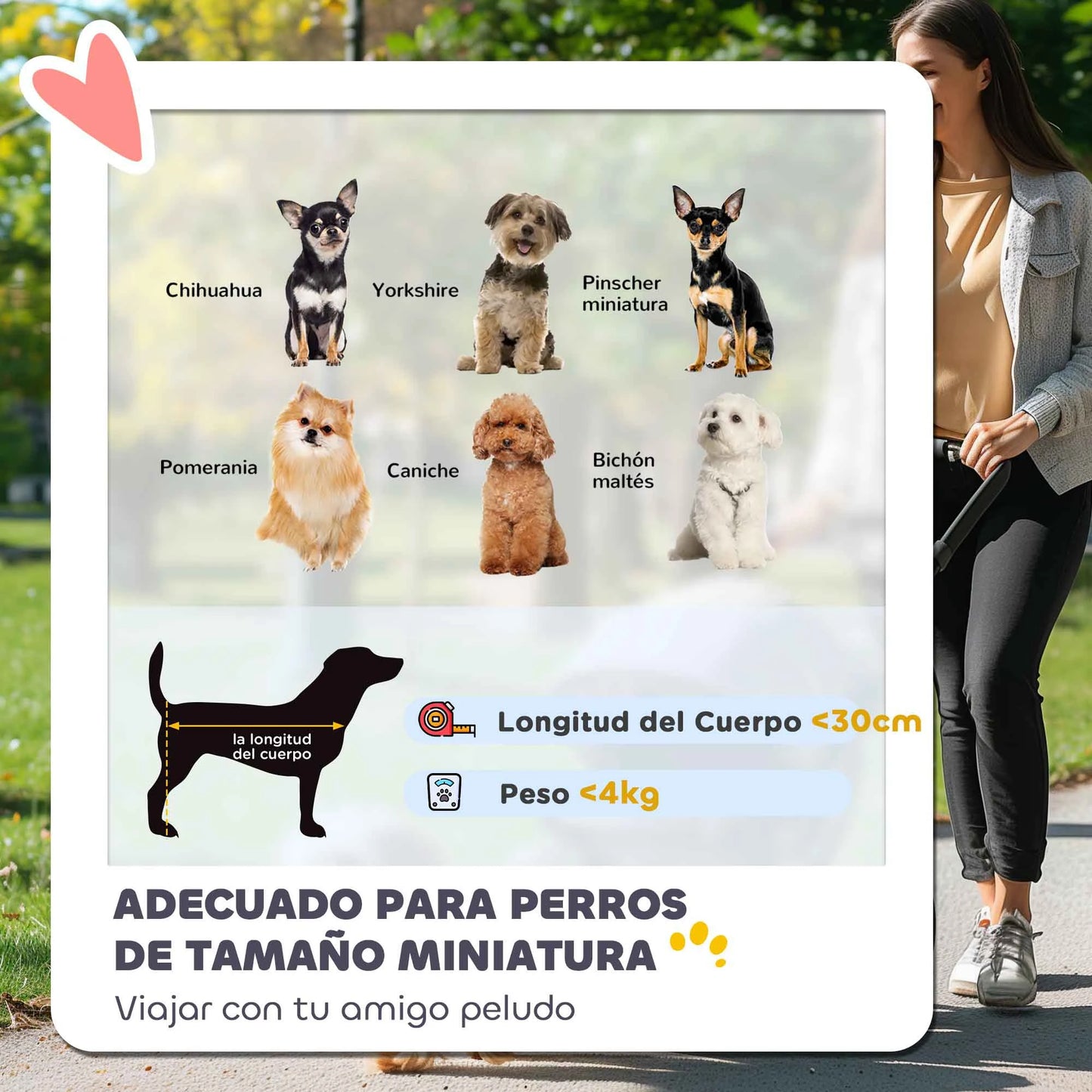 Pawhut Stroller for Small Dogs with Cream Umbrella Structure