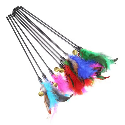 5pcs/set Cat Interactive Wand Colorful Feather Chicken Feather Cat Stick Bell Portable Creative Fashion Novelty Pet Cat Supplies