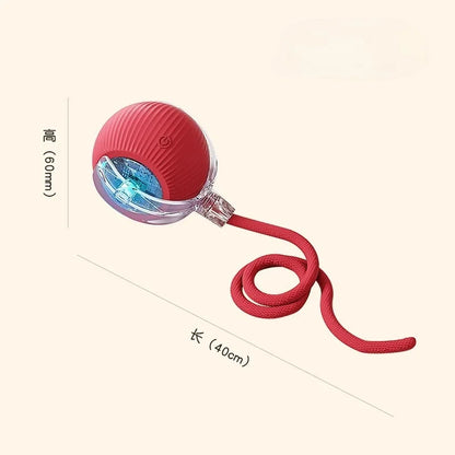 New Cat Interactive Ball Toys Silicone Automatic Rolling Ball With Long Tail Teaser Smart Pet Electric Toy Kitten Cat Toy
