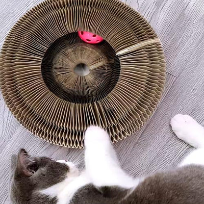 Cat Scratcher - Magic Organ Board - Corrugated Cardboard - Interactive Toy with Ball - Foldable and Modular - Environmentally Friendly